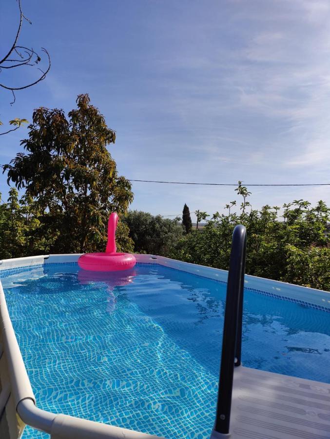 Casa Azul-Tiny House With Fantastic View, Big Outdoor Space And Pool Silves Exterior photo